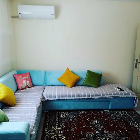 Palamutbuku Simsek Apaer